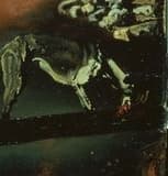 Detail: a lean dog tearing at a bloody shape on rocky ground at the right of the painting