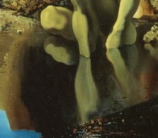 Detail: Narcissus's body reflected in the still water of the pool at his feet, an inverted mirror image of his crouching form
