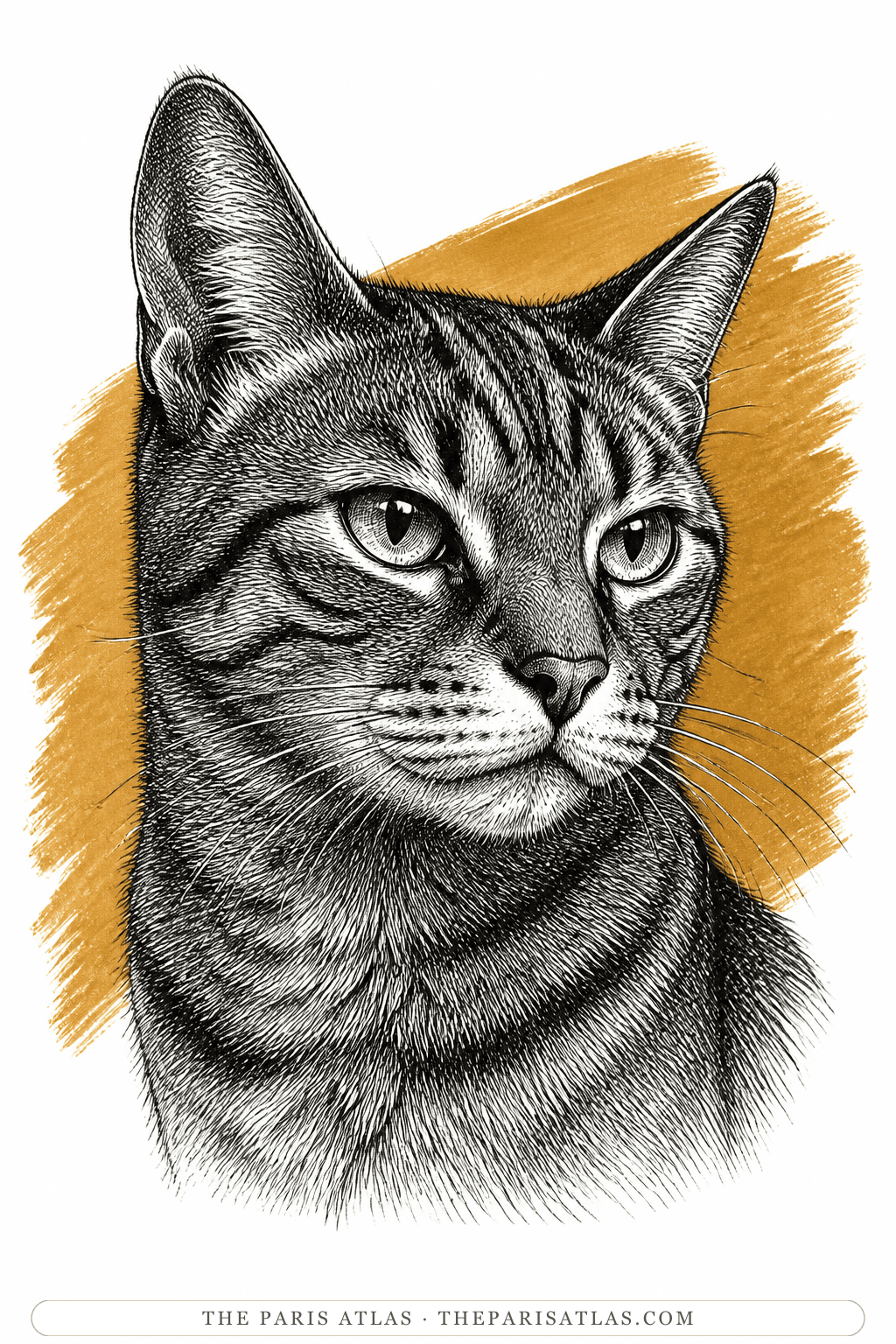 Illustrated portrait of Bébert
