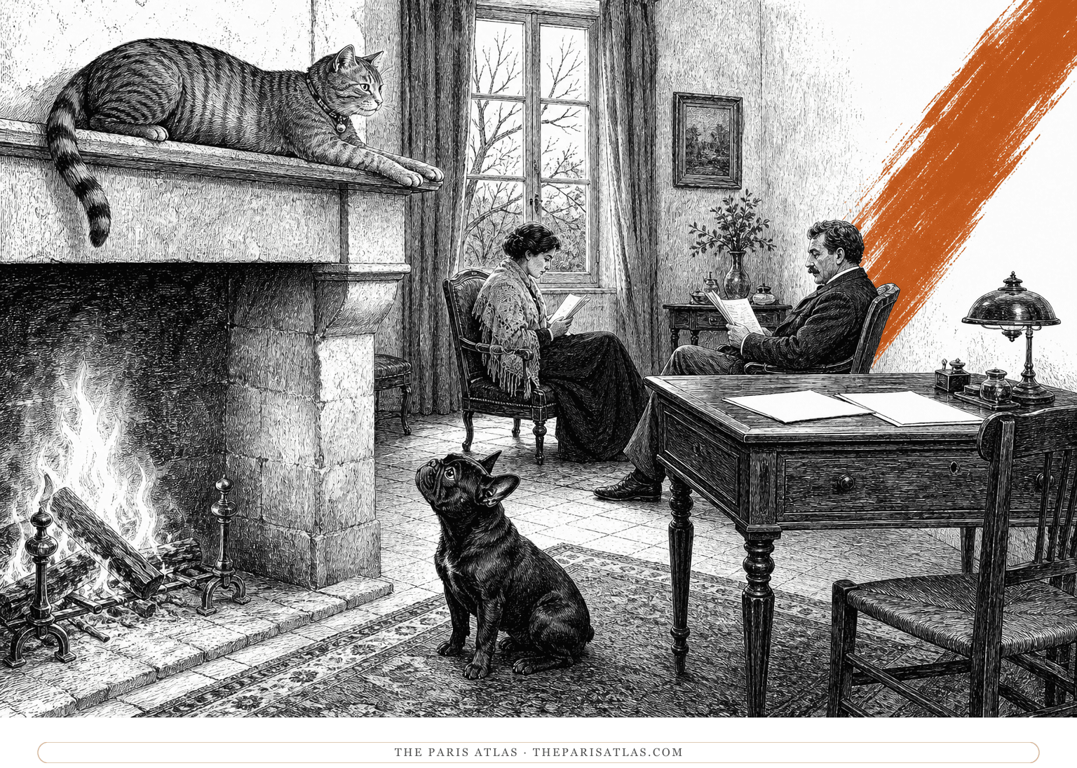 A grey cat on a mantel debates a French bulldog on the rug beside a rust-colored descending brushstroke.