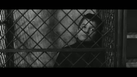 Young Jean-Pierre Léaud as Antoine Doinel behind a diamond-wire grille at a police station, his face pressed toward the mesh, in black and white