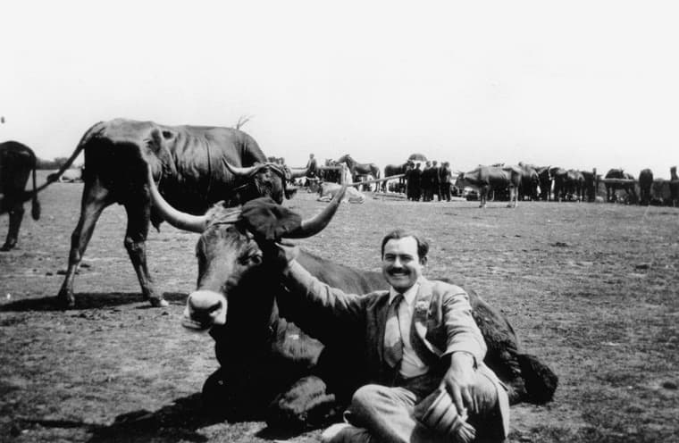 Ernest Hemingway with a bull in Spain, 1927
