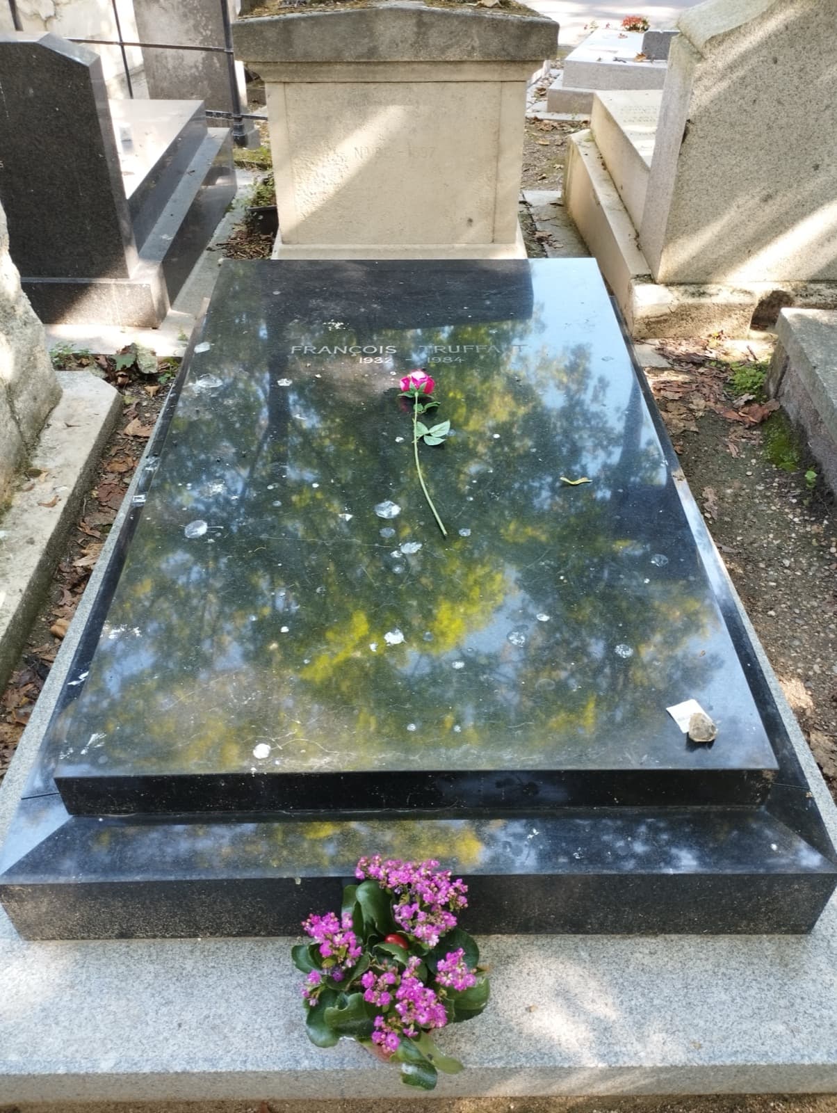 François Truffaut's polished black marble grave slab in Montmartre Cemetery, a rose and a pot of pink flowers on it