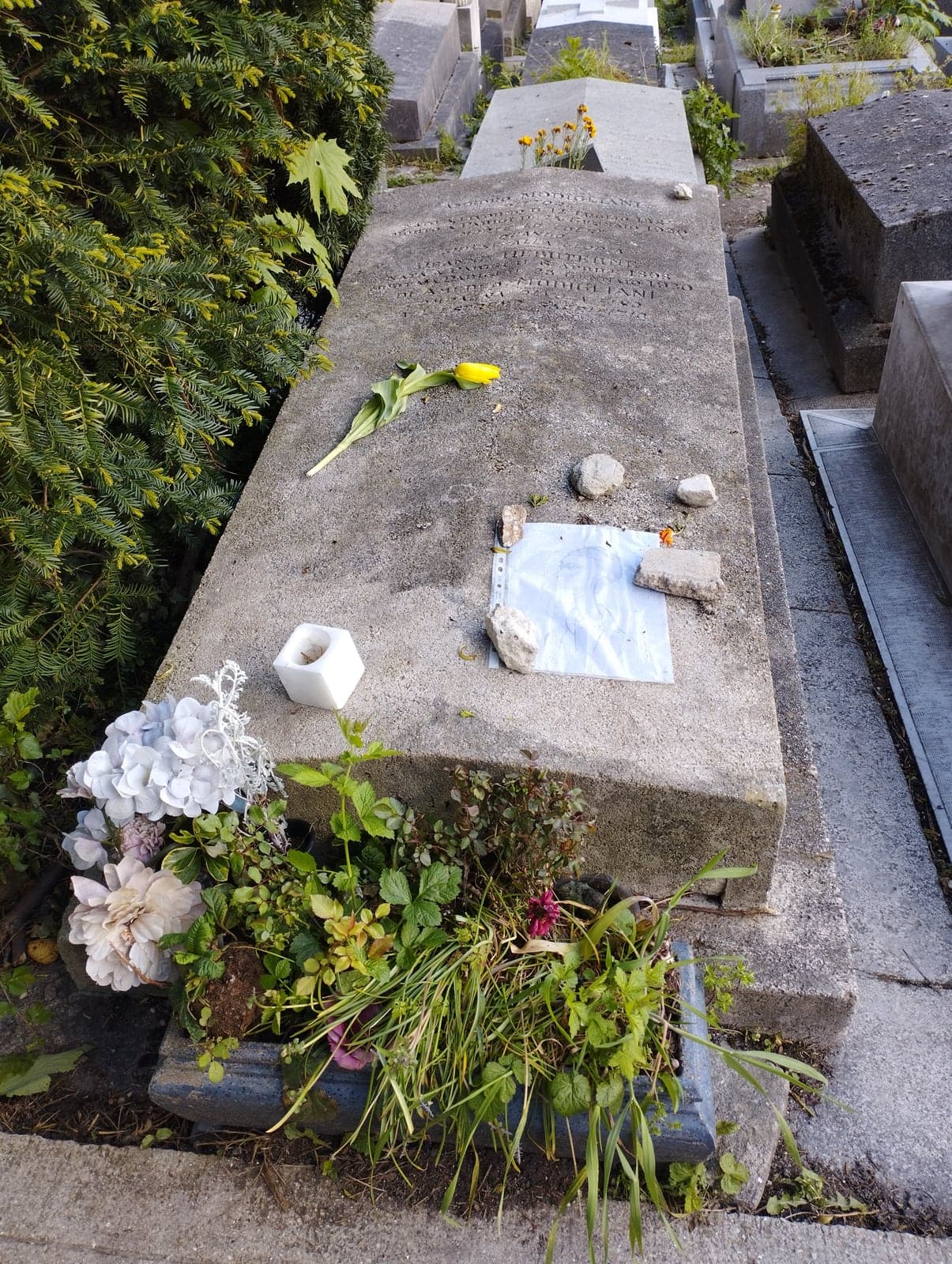 Amedeo Modigliani's grave slab in division 96 of Père-Lachaise, with pebbles, a tulip, and a visitor's sketch