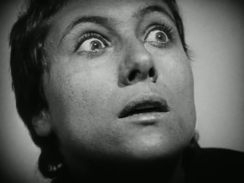 Joan's face in wide-eyed terror during the torture-chamber sequence