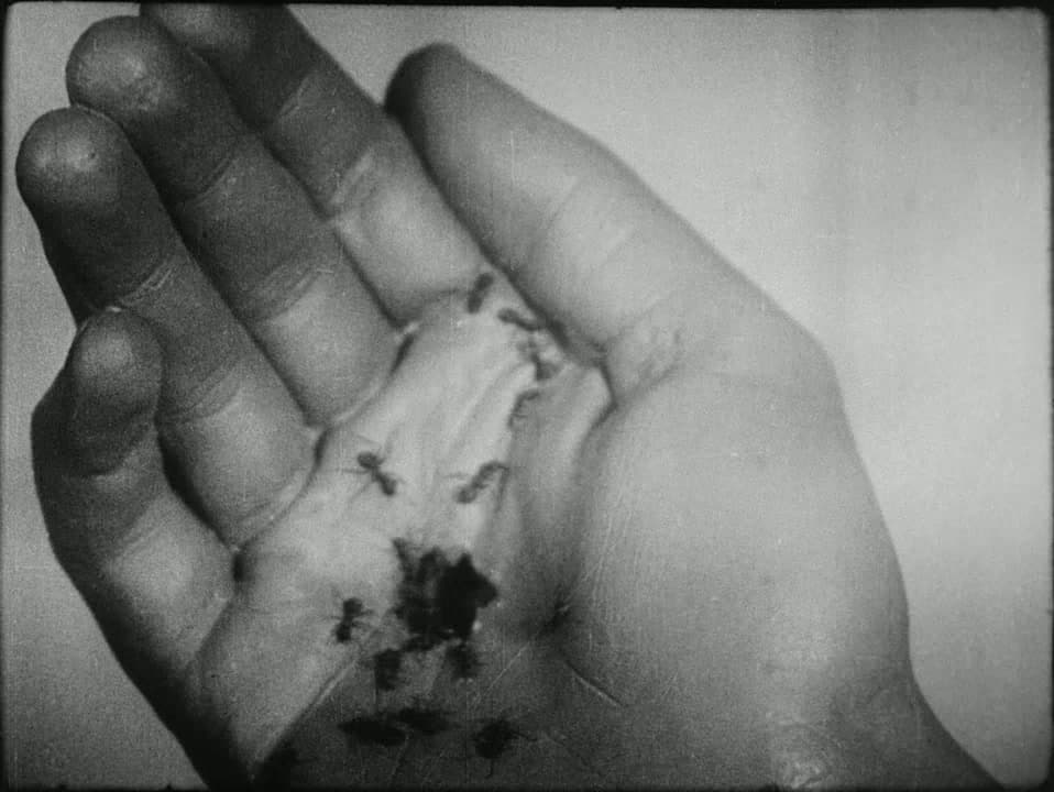 Ants crawl from a dark hole in the center of an open palm, in close-up, from Un Chien Andalou