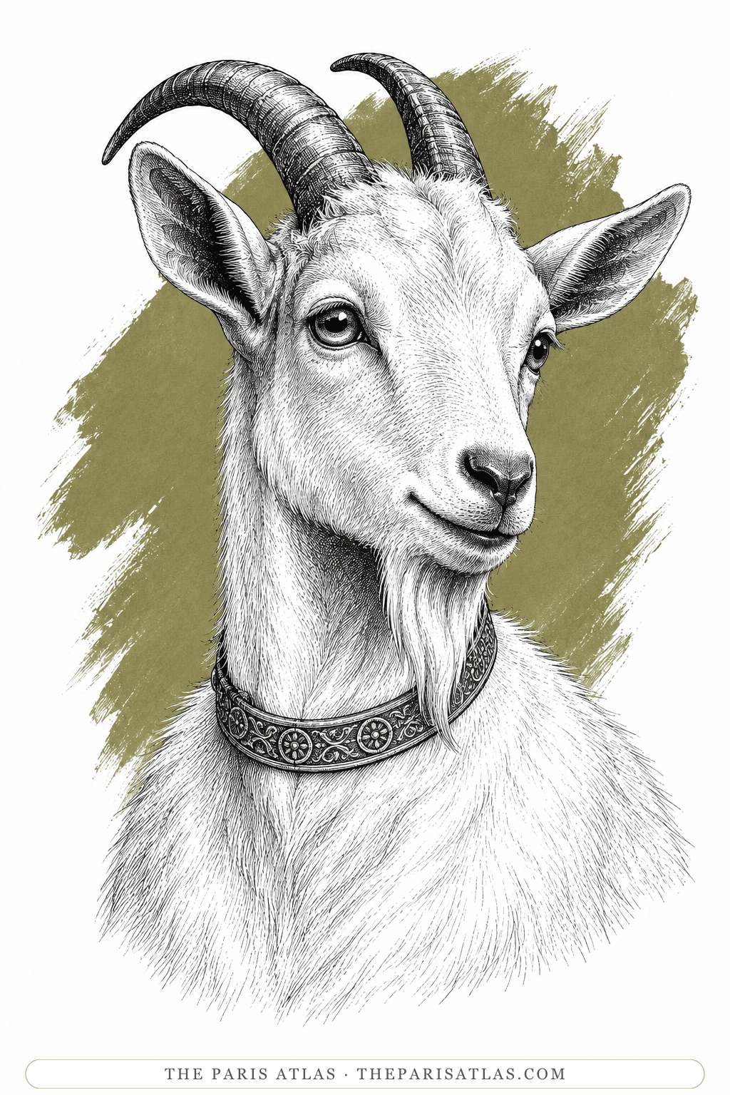 Illustrated portrait of Djali